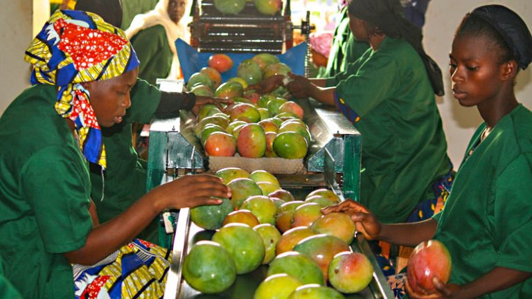 Exportations des produits alimentaires d’Afrique vers l’Europe et les Etats-Unis : normes et règles à respecter