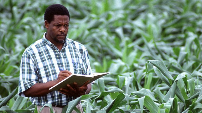 Émergence : L’Afrique doit parier sur  son agriculture