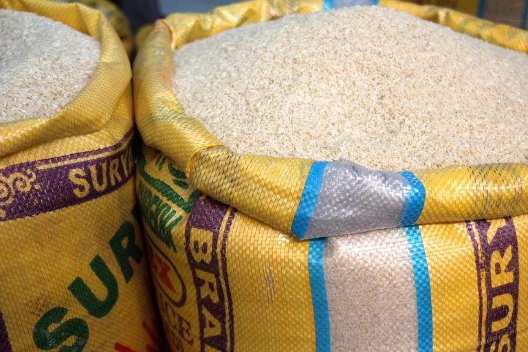 Produire plus pour atteindre l’autosuffisance alimentaire